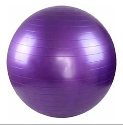 Imagen de Pelota Esferodinamia 65 cm