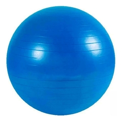 Pelota esferodinamia 55 cm en internet