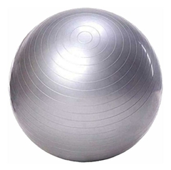 Pelota Esferodinamia 65 cm - comprar online