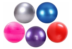 Pelota Esferodinamia 65 cm en internet