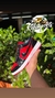 Air Jordan 1 Low 'Bred Patent' - comprar online