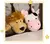 Brinquedos de pelúcia Animais, Mão Finger Story Puppet, bonecas Kawai - comprar online