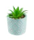 Vaso Turquesa Cimento Planta Artificial 8x6x6cm - comprar online
