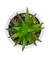 Imagem do Vaso Branco Cimento Planta Artificial Modelo B 8.5x7.5x7.5cm
