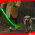 Imagem do Guia para coleira de cachorro com LED