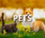 Pets