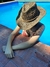 Sombrero Slash