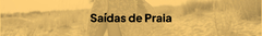 Banner de la categoría Salidas Playa