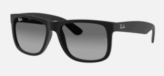 RB 4165 POLARIZED en internet