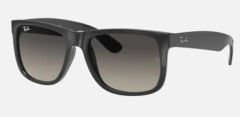 RB 4165 POLARIZED - tienda online