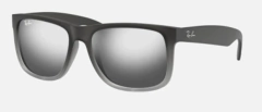 RB 4165 POLARIZED