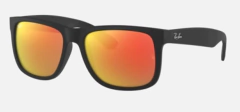 RB 4165 POLARIZED en internet