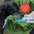 Garrafa de Água Portátil 550ml para Pets Verde - Lojinha do Joca