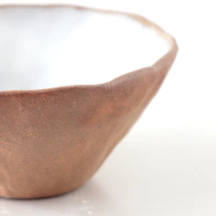 Bowl Orgánico
