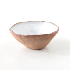 Bowl Orgánico - tienda online