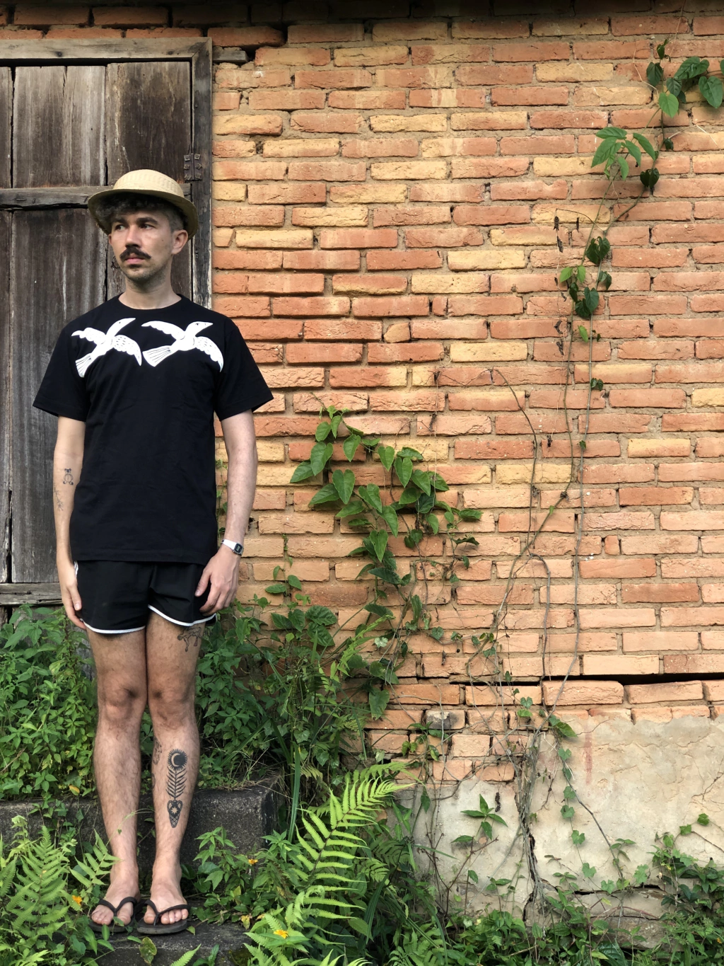 Camiseta Voa Asa Branca