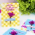 Card + flores