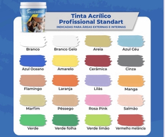 Tinta Acrílica Profissional - 16 Litros na internet