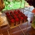 Copinho de Cereja - comprar online