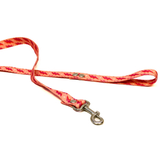 Conjunto collar y correa Talle 0 al 5 en internet