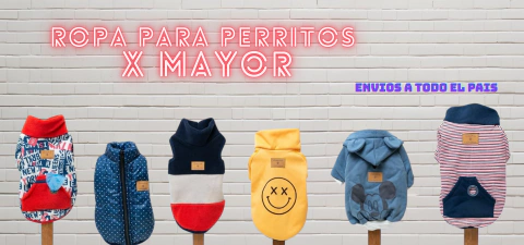 Imagen del carrusel Diseño Canino