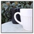 Taza Mai