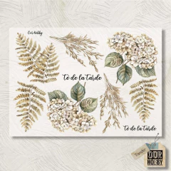 Transfolex color (plancha) 149