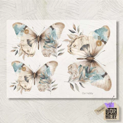 Transfolex color (plancha) 075