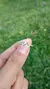 Anillo Romántico - AB en internet
