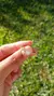 Anillo Julieta - AD - comprar online