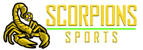 CS OUTLET | ARTIGOS ESPORTIVOS