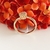 (AN1680) - comprar online