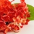 (AN1686) - comprar online