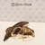 Brinco Argola Oval Lisa em ângulo Peq. 2mm banho ouro 18k (ARG1267) - comprar online