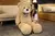 Urso de pelúcia gigante - loja online