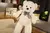 Imagem do Urso de pelúcia gigante