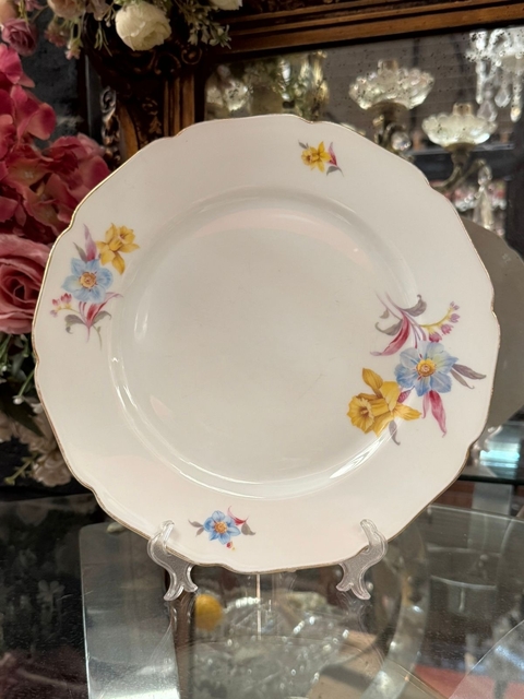Plato de porcelana Bohemia