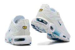 NIKE AIR MAX TN na internet