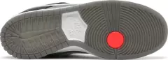 Nike Dunk Low SB 'Camcorder' na internet