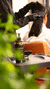 1 KIT GBEMLISO - comprar online