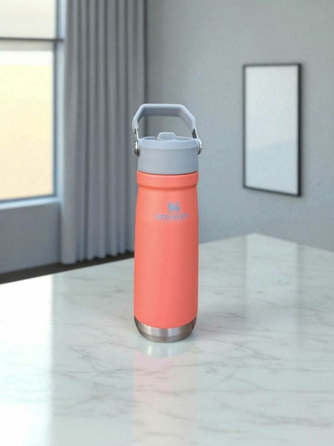 Garrafa Térmica STANLEY Flip Straw 651ml - comprar online