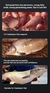 5/1 p peixe atrativo isca de pesca concentrado red worm líquido isca de peixe a na internet