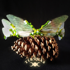 Tiara de Asas de Fada