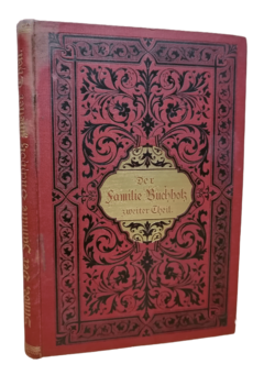 Julius Stinde. Der Familie Buchholz. (La familia Buchholz).