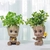 Boneco Guardiões - Galáxia Pote Shuren Groot Garagem Kit Ninho Sentado pequeno Shuren - comprar online