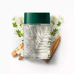 Arbo Desodorante Colônia 100ml - loja online