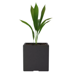 Rotomoldeada cubo negra - 30 cm