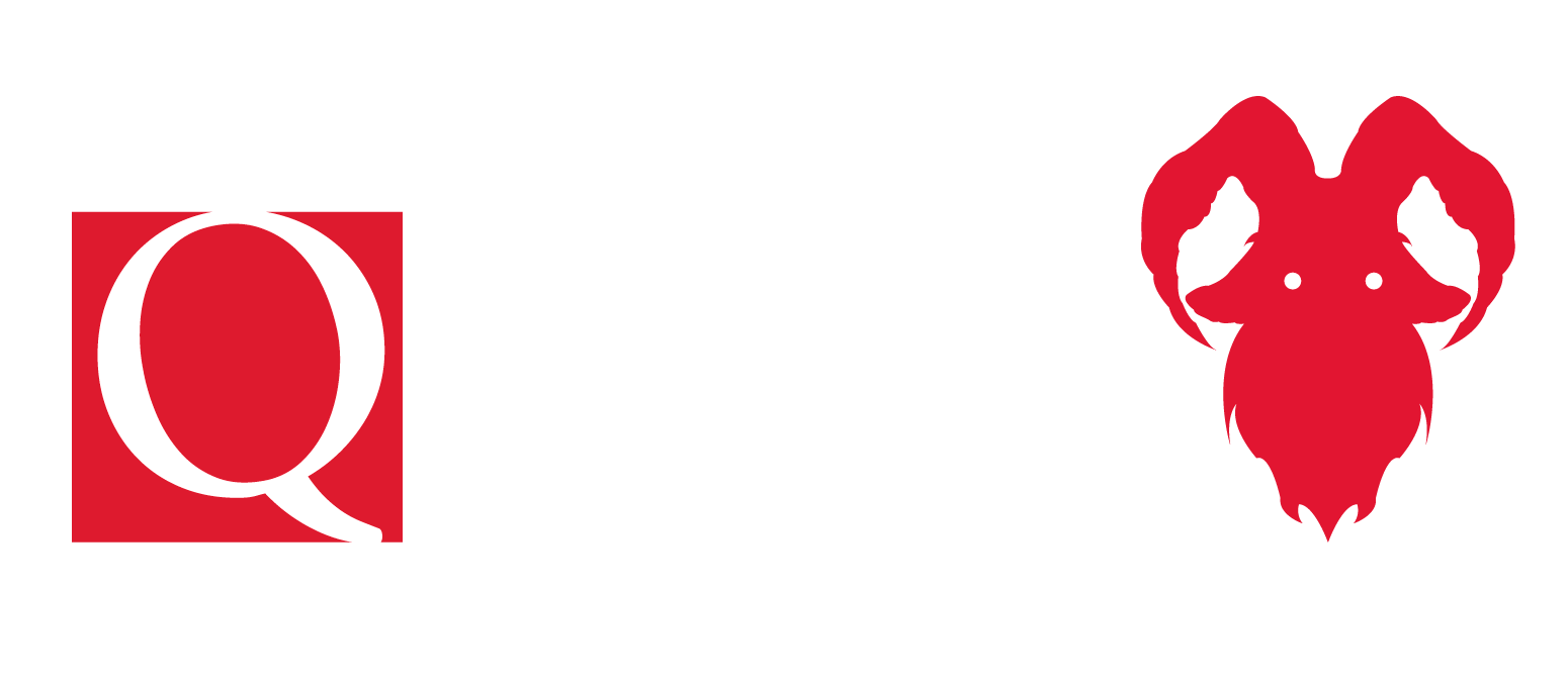 Quinto Studio