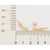 Brinco ear rommanel cuff folheado a ouro com zircônias Branco Cód. 527050 na internet