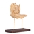 Escultura Love Horse - comprar online